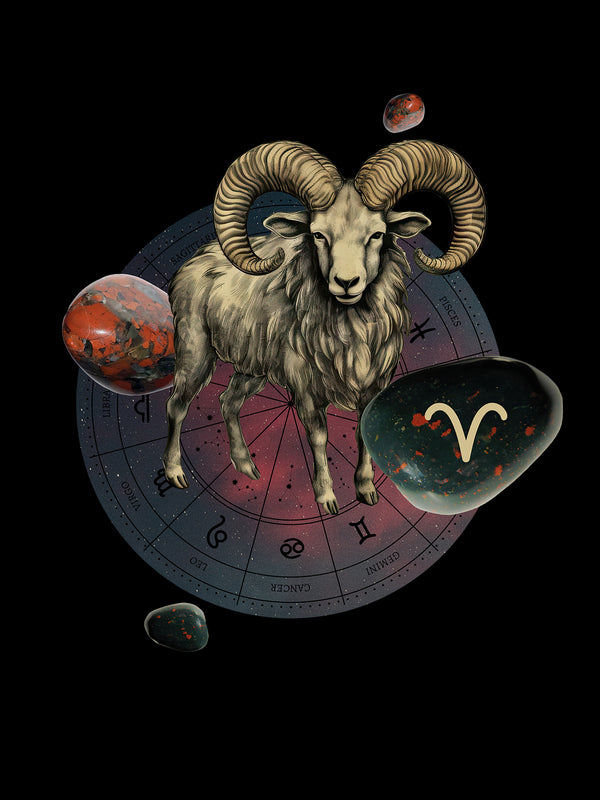 Aries Ram Tshirt