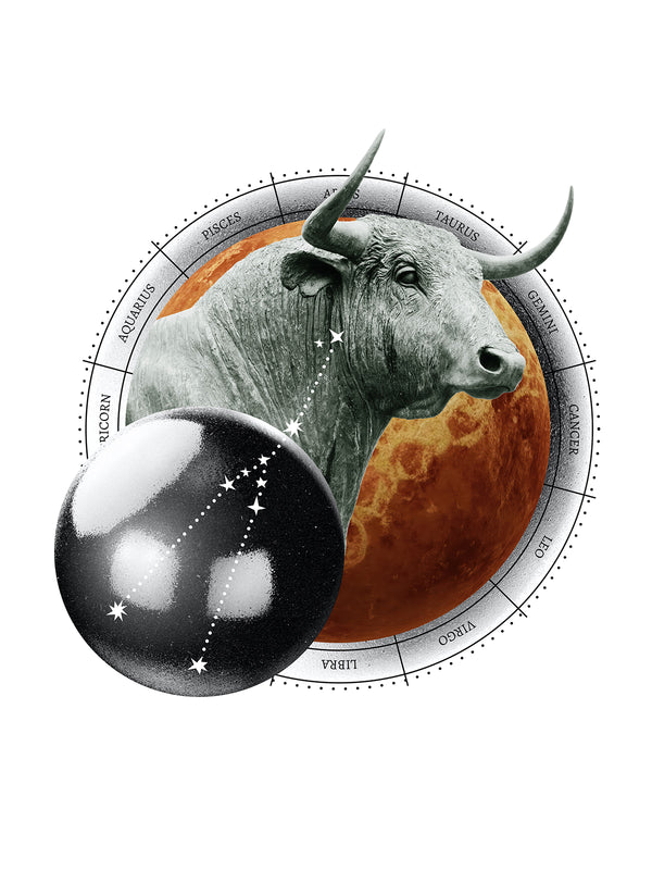 Taurus Bull Tshirt